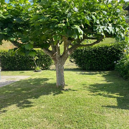 Moradia Rustica Jardim Villa Caloura Luaran gambar