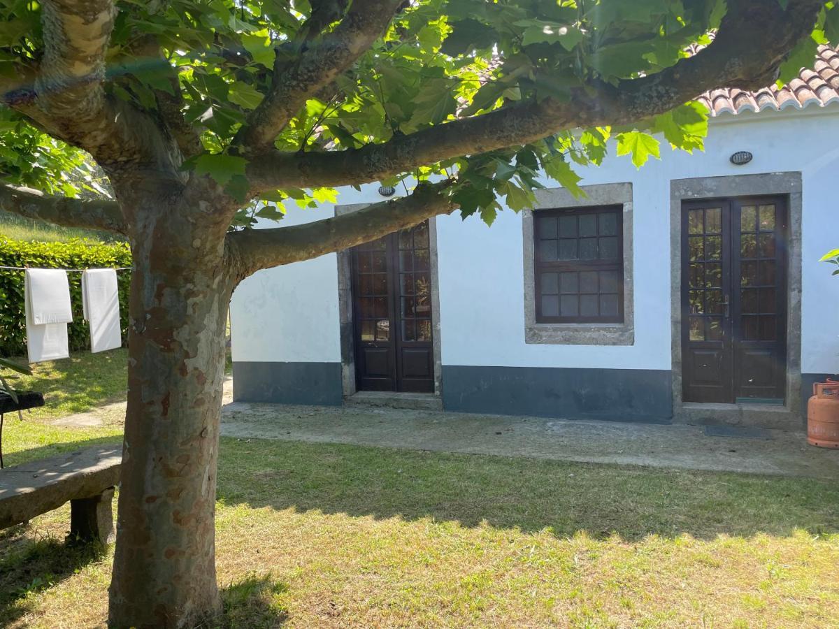Moradia Rustica Jardim Villa Caloura Luaran gambar