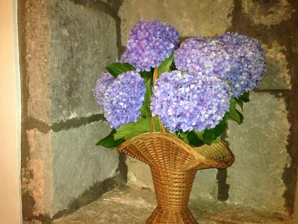 Moradia Rustica Jardim Villa Caloura Luaran gambar